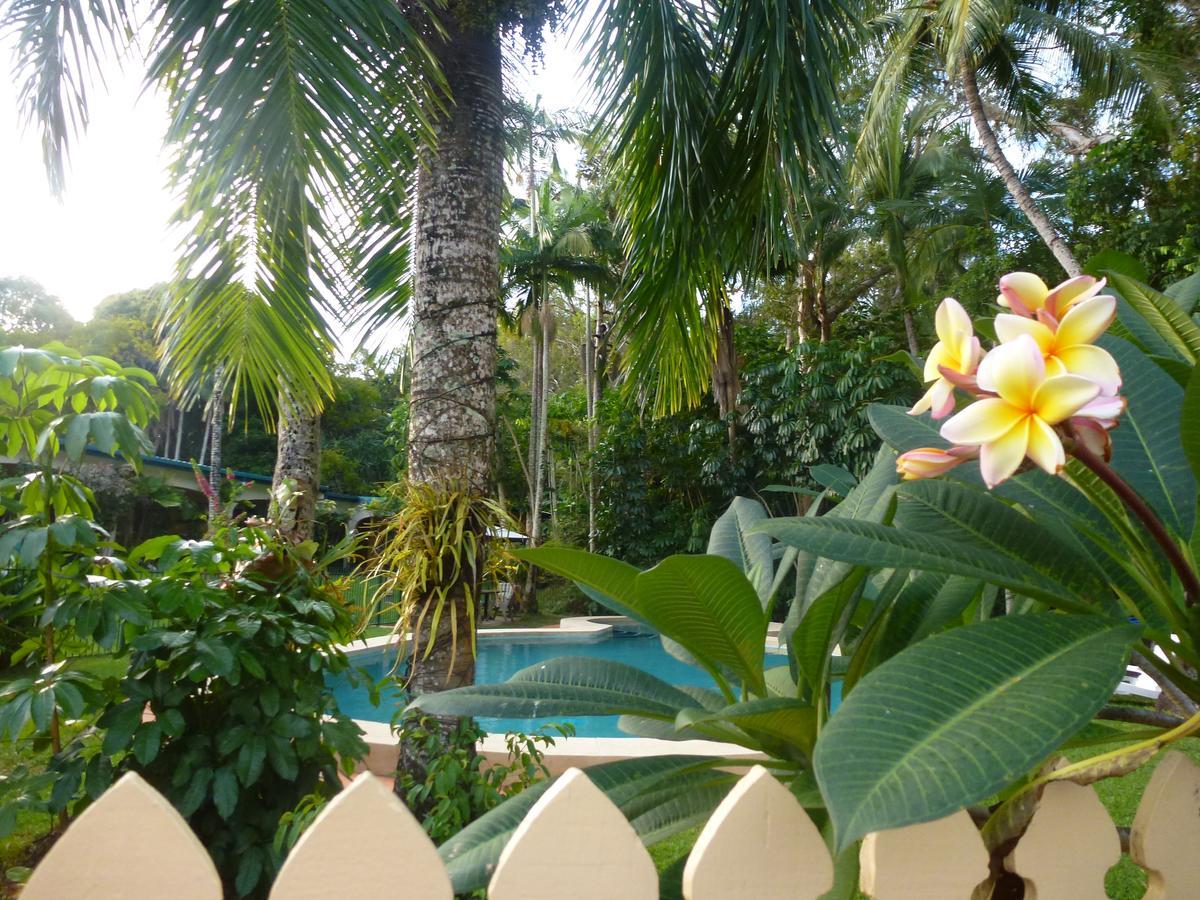 Villa Marine Holiday Apartments Cairns Yorkeys Knob Exterior photo